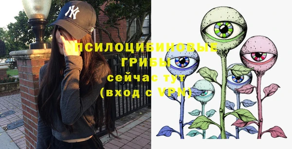 a pvp Кукмор