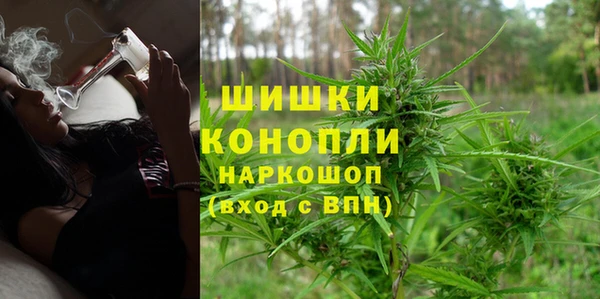 spice Краснослободск