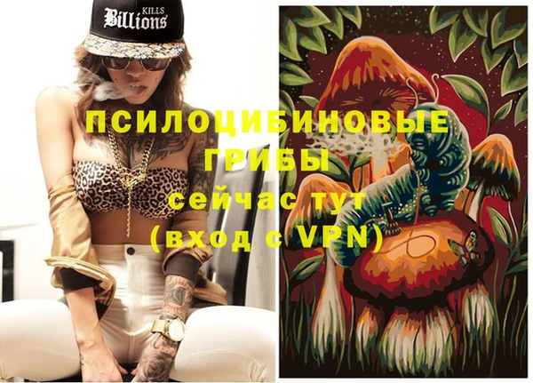 a pvp Кукмор
