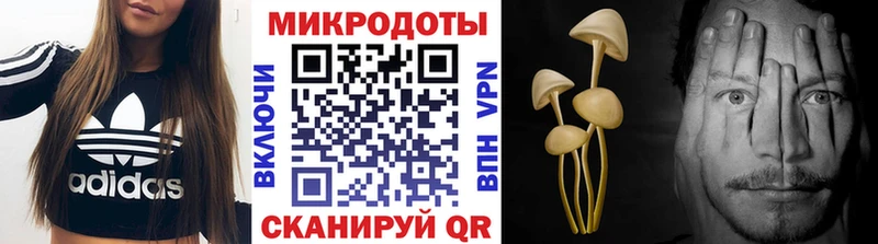 Купить  Электросталь  Псилоцибиновые грибы мухоморы 